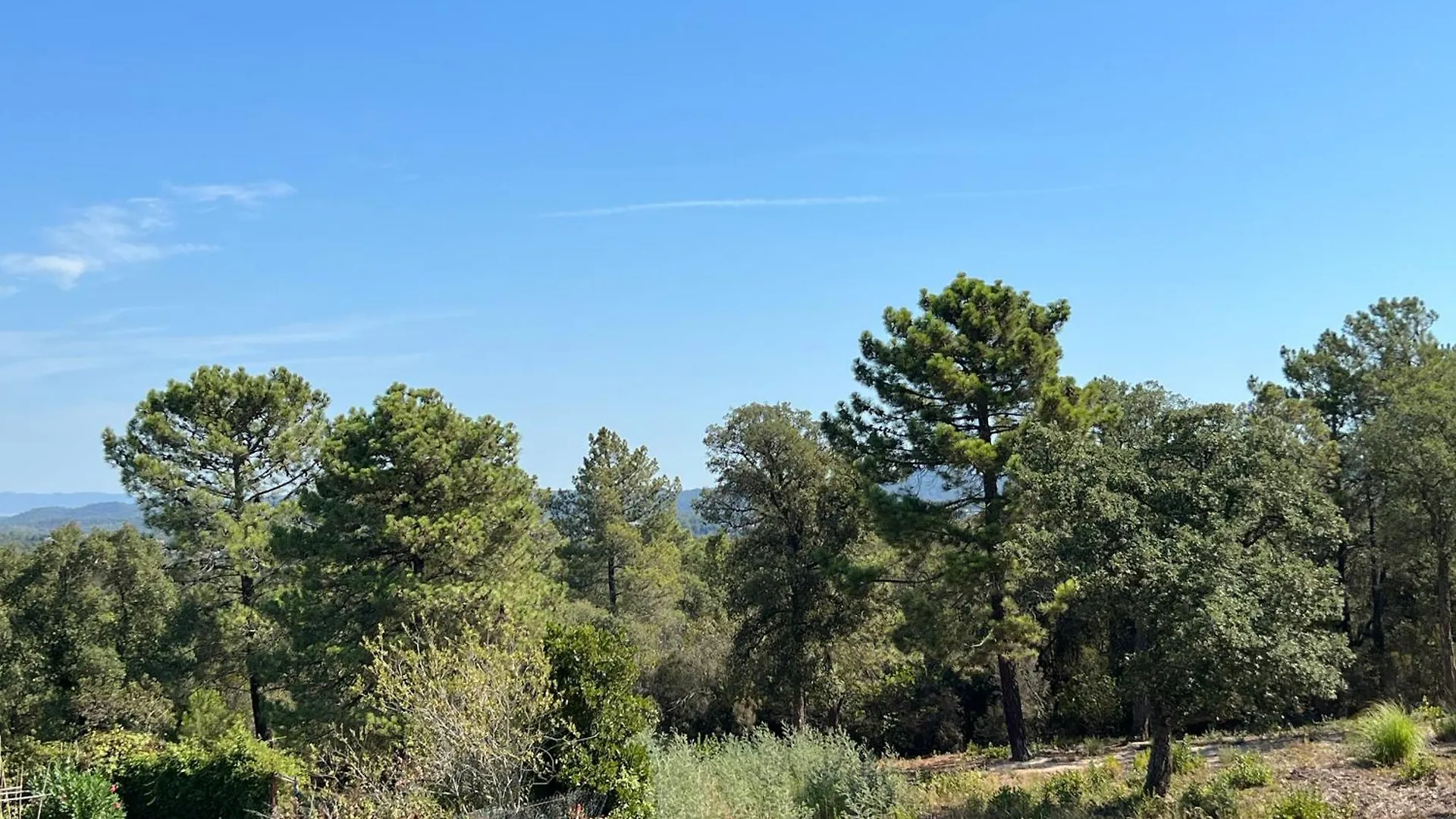 Casa Feliz Con Perros Villa Massanet De La Selva